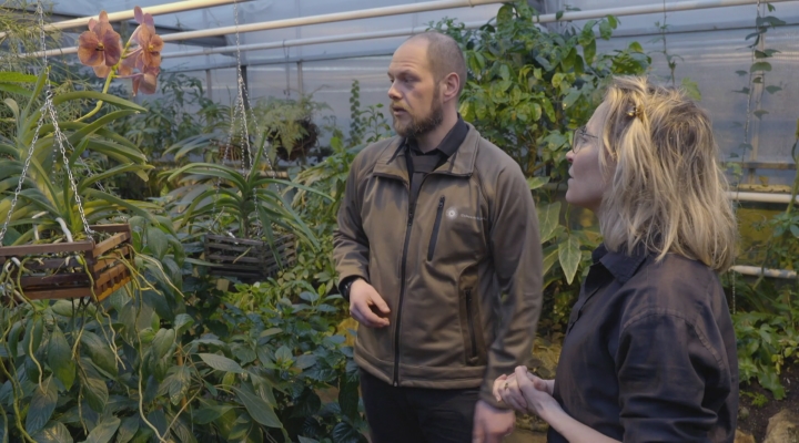 Plantenleven | TV | Vroege Vogels