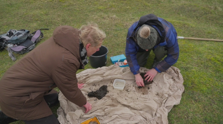 Bijzondere dieren in waterwingebied van Goeree