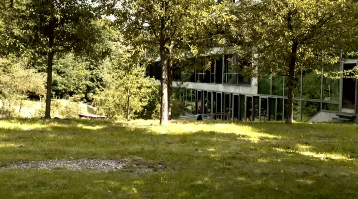 Groene Gadgets: Groene Lamp