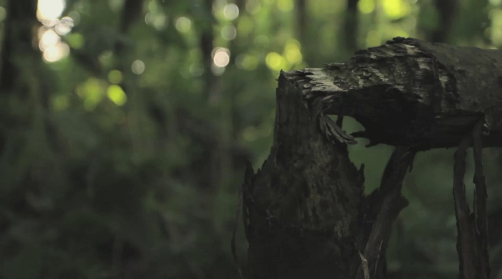 Vroege Vogels - Making of