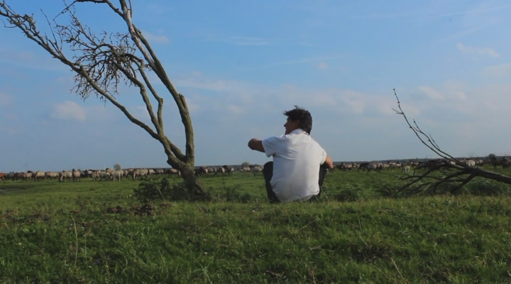 Vroege Vogels - De nieuwe wildernis