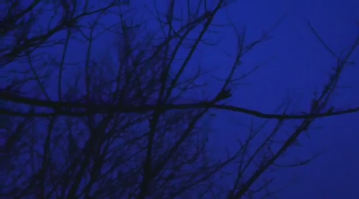 Vroege Vogels - Toendraganzen