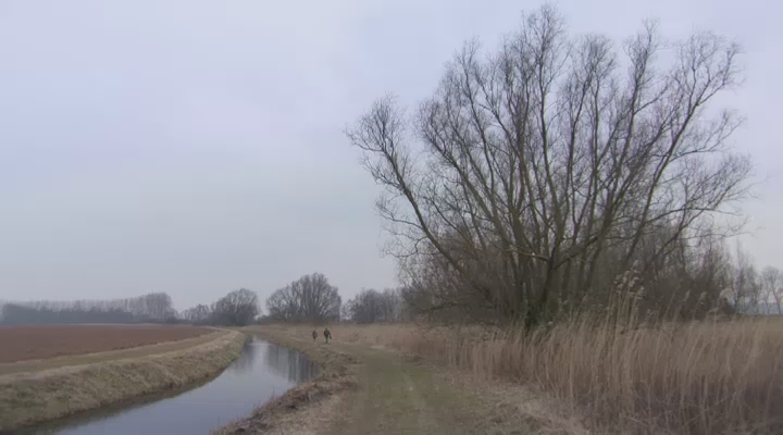 Vroege Vogels - Jacht op de muskusrat