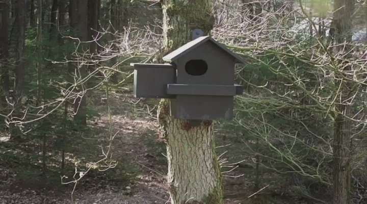 Vroege Vogels - Big Broeder kortje