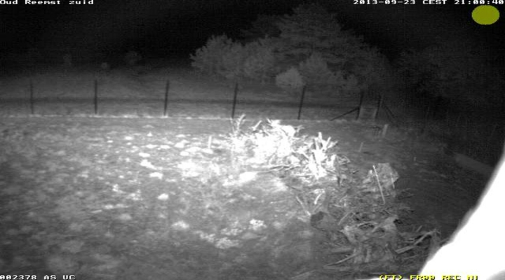 Vroege Vogels - Overstekend Wild samenvatting week 39