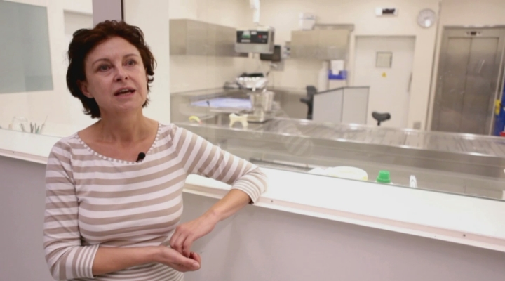 Na de Dood - Forensisch Patholoog