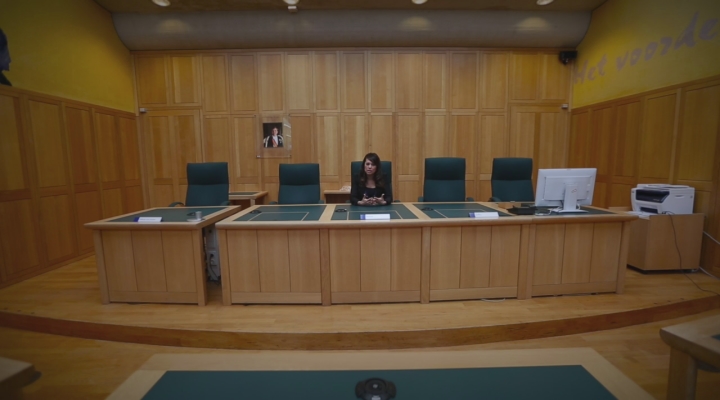 De Nationale Wetenschapsagenda: rechter Joyce Lie stelt een vraag