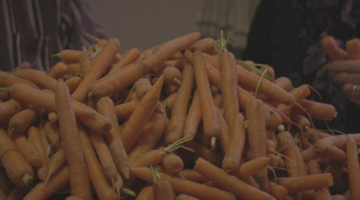 20151126-destrijd-wortelen