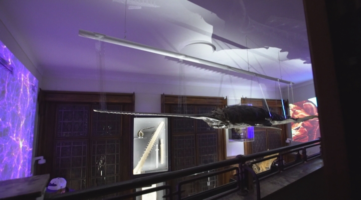 Overzicht pop-up museum