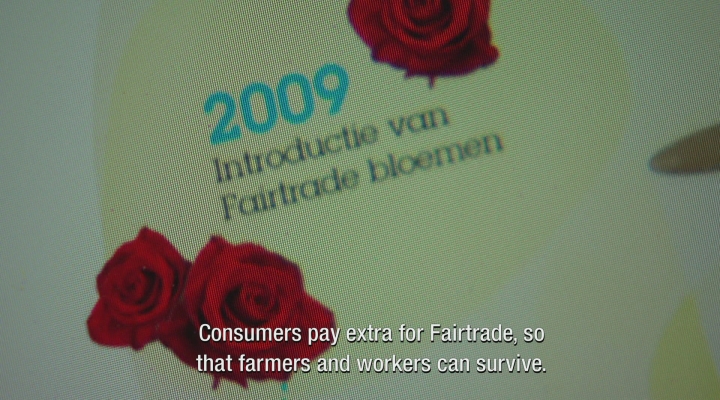 Zembla - Dutch roses from Ethiopia