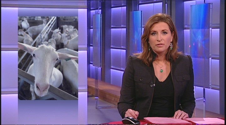 Zembla - NOS JOURNAAL qkoorts