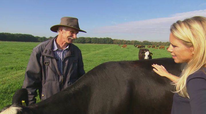 Het nieuwe vlees eten