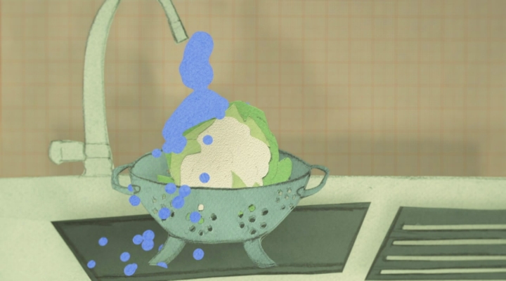 Voorverpakte groenten, of juist niet?