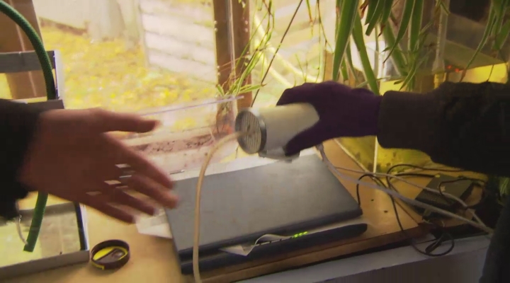 Maak je eigen aquaponics