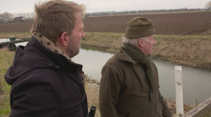 Kieskompas: Ganzen afschieten of niet?