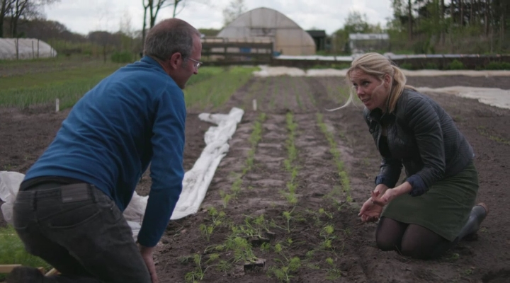 Waarom is biologisch duur?