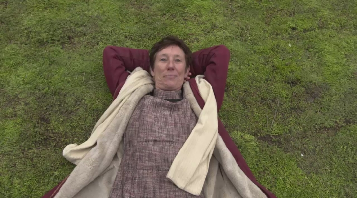 Een dak vol plantjes