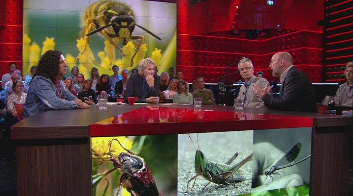 Dramatische daling insectenpopulatie, 75% is verdwenen