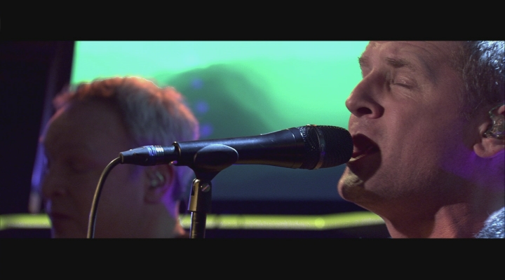 Racoon - Liverpool Rain