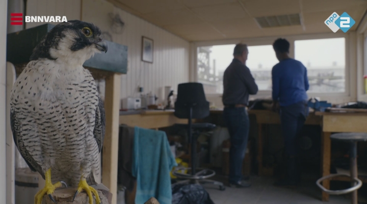 Vroege Vogels TV - Dode das naar de preparateur (extra)