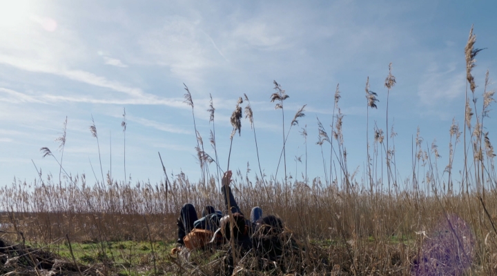 Vroege Vogels - Wolken boven de Onlanden