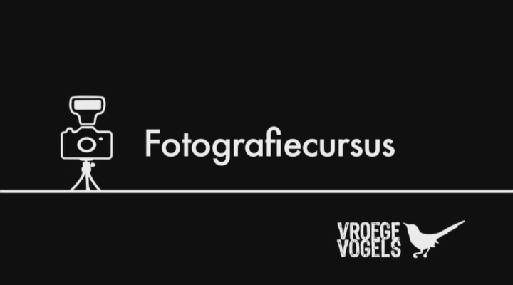Vroege Vogels - Fotografiecursus: Scherpte-diepte