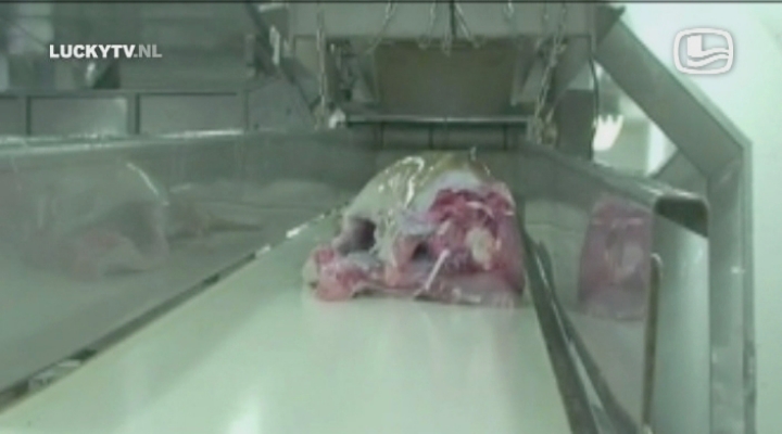 LuckyTV - Frozen Planet - 30-11-2011