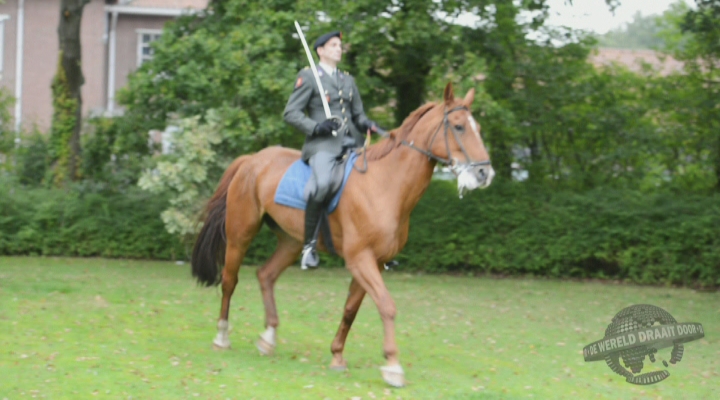 De leukste van dinsdag, ingestuurd door: Bram Petraeus - 24-9-2013