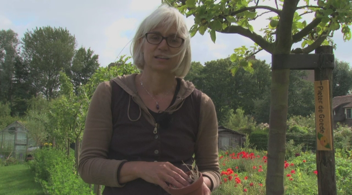 Tipvideo: Luizenbestrijding