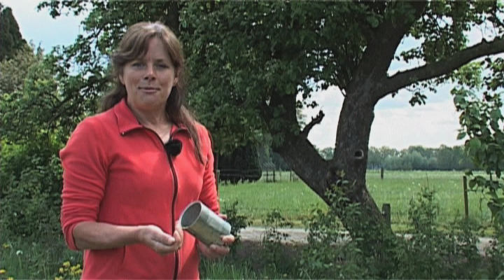 Tipvideo - Vogelvoer